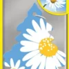 Doftgran Wunderbaum Daisy Flower