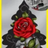 Doftgran Wunderbaum Rose Thorn